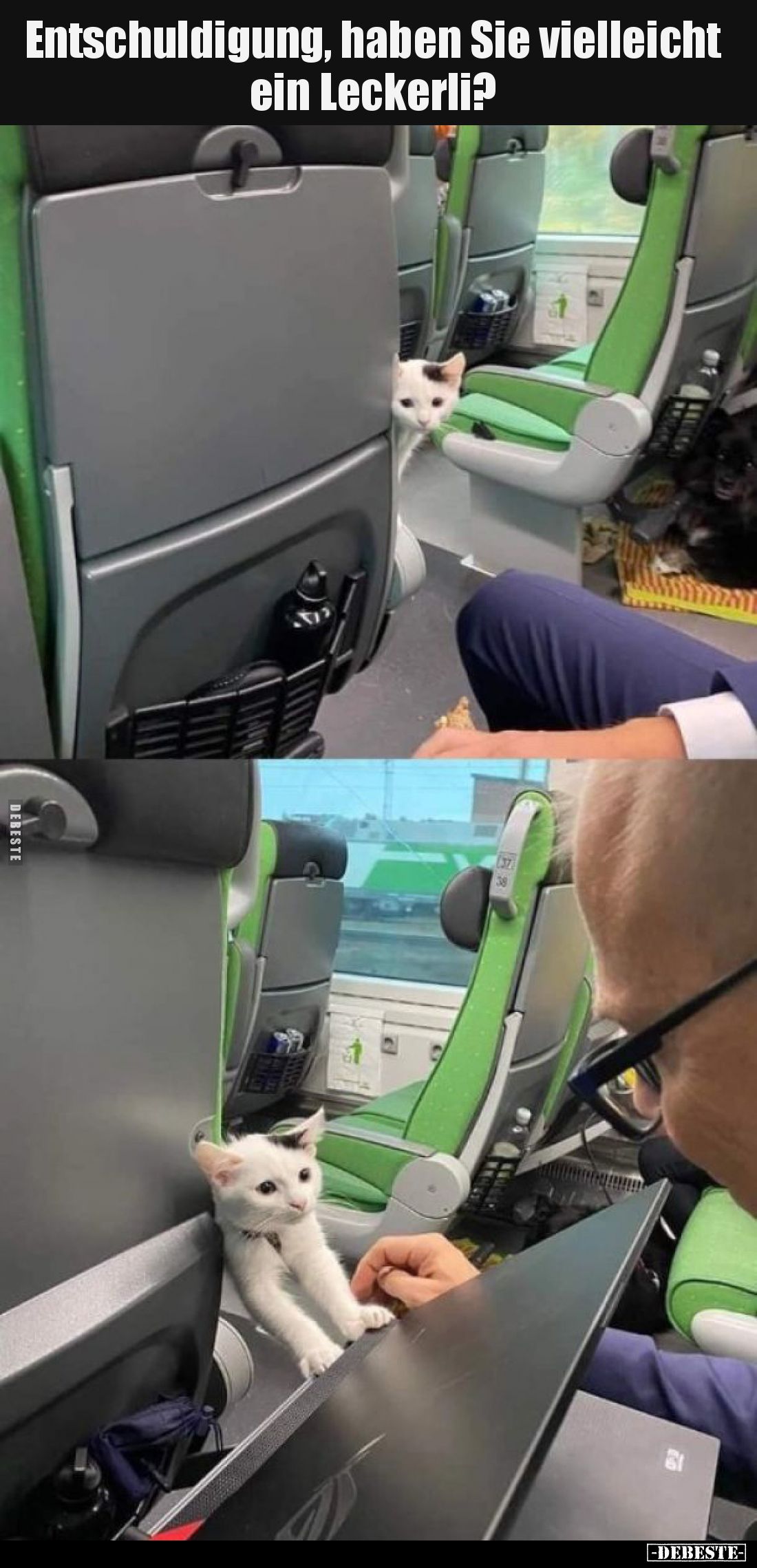 Entschuldigung, haben Sie vielleicht ein Leckerli?