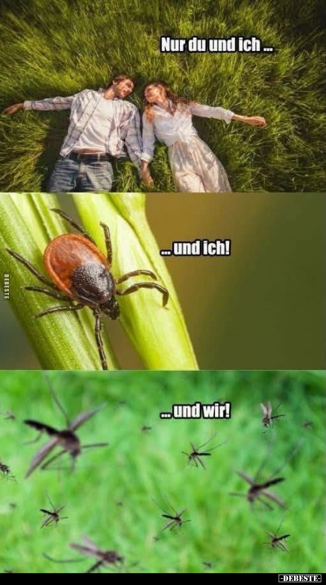 Nur du und ich...
Und ich!
Und wir!