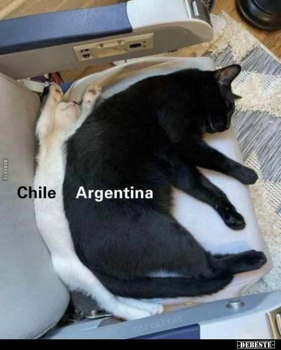 Chile - Argentina.. - Lustige Bilder | DEBESTE.de