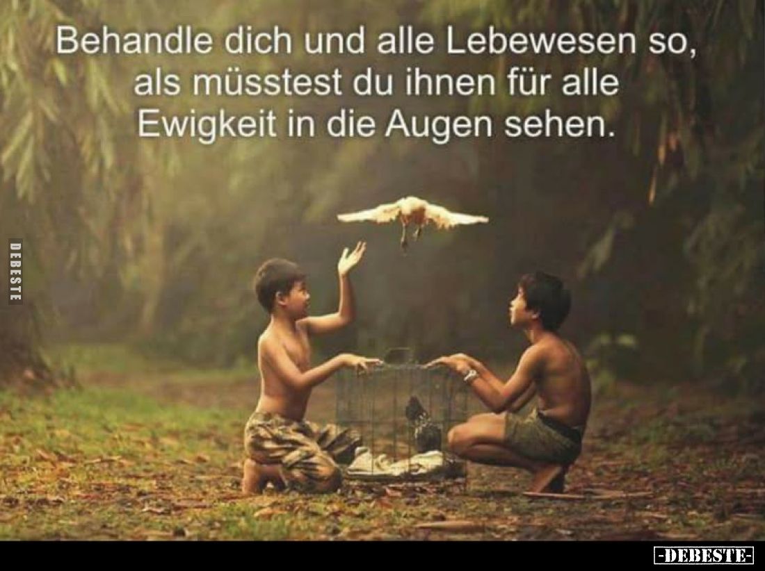 Behandle dich und alle Lebewesen so, als müsstest du ihnen für alle Ewigkeit in die Augen sehen.