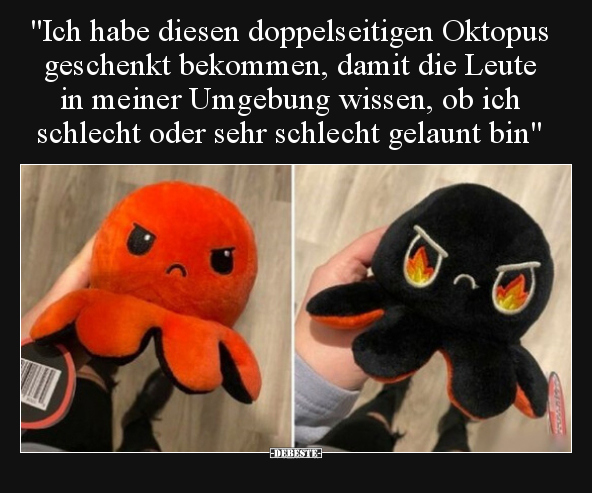 "Ich habe diesen doppelseitigen Oktopus geschenkt bekommen.." - Lustige Bilder | DEBESTE.de