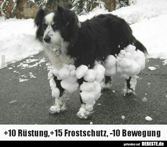 +10 Rüstung,+15 Frostschutz, -10 Bewegung..