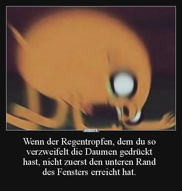 Wenn der Regentropfen, dem du so verzweifelt die Daumen.. - Lustige Bilder | DEBESTE.de