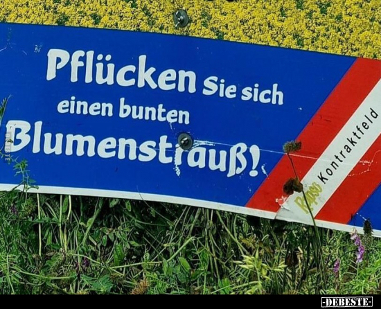 Pflücken Sie sich einen bunten Blumenstrauß!.. - Lustige Bilder | DEBESTE.de