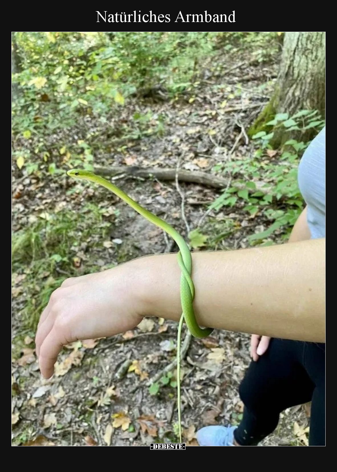 Natürliches Armband
