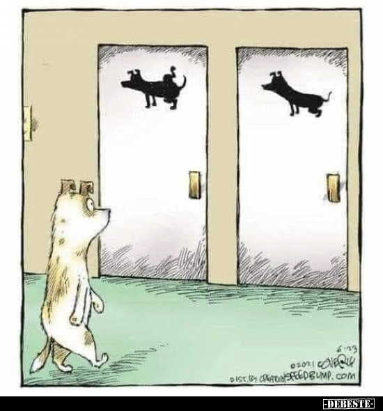  - Lustige Bilder | DEBESTE.de