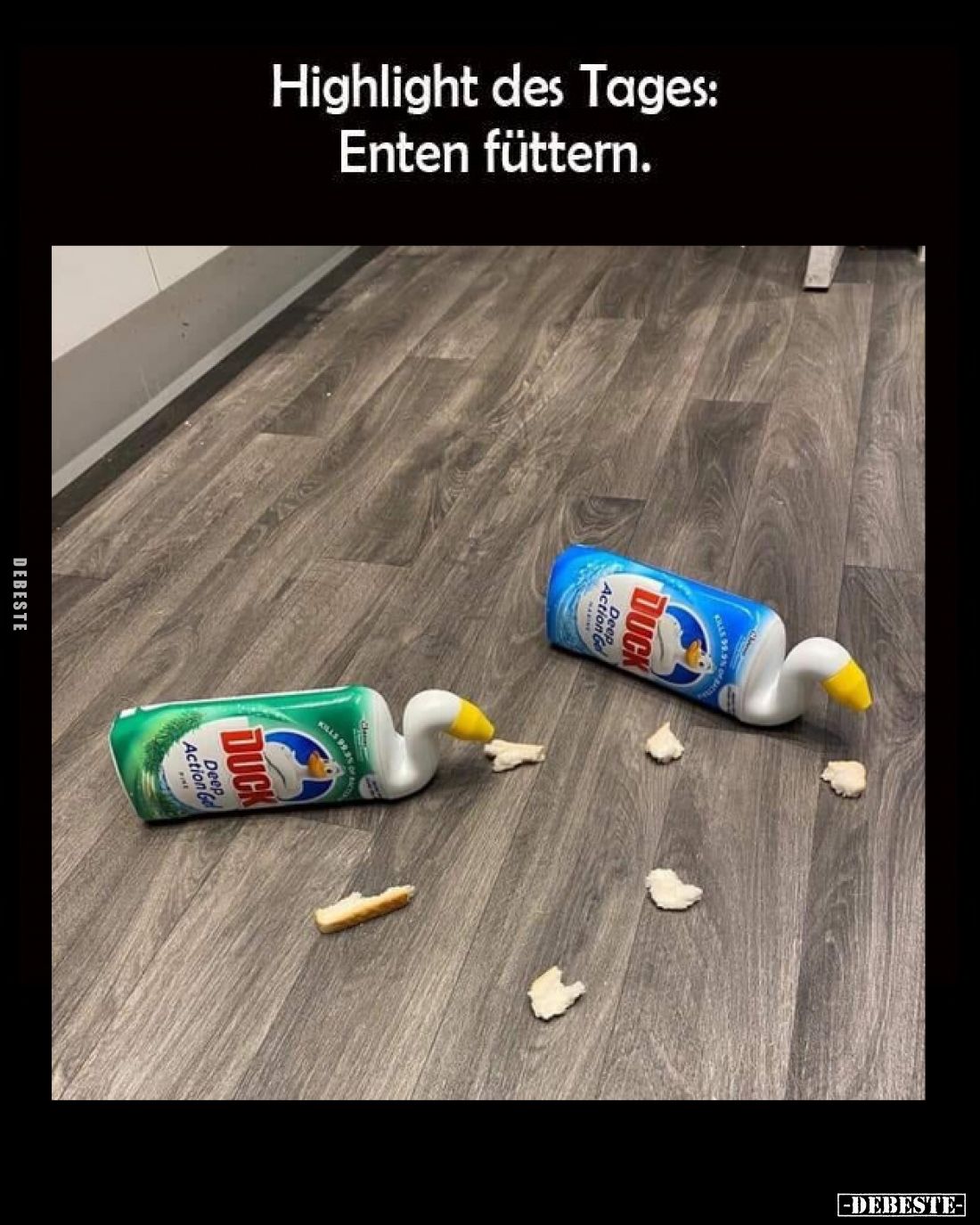 Highlight des Tages: Enten füttern.
