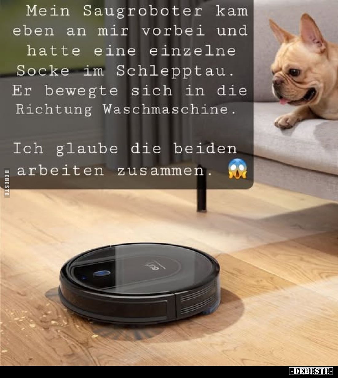 Mein Saugroboter kam eben an mir vorbei und hatte eine einzelne Socke im Schlepptau. Er bewegte sich in die Richtung Waschmas...