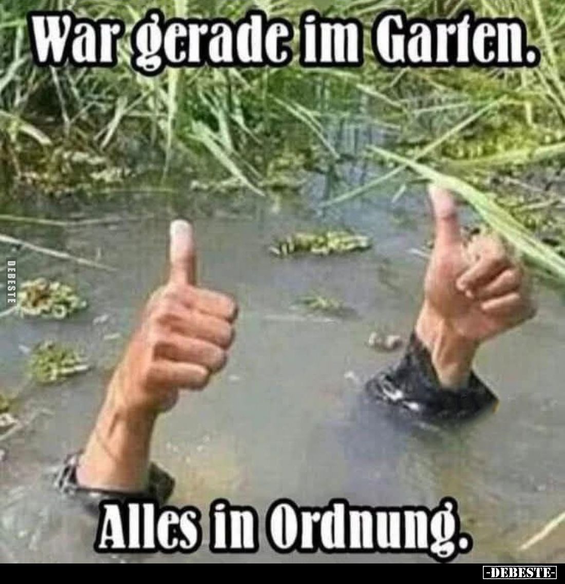 War gerade im Garten.
Alles in Ordnung.