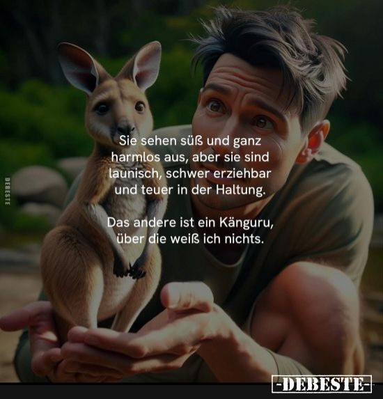  - Lustige Bilder | DEBESTE.de