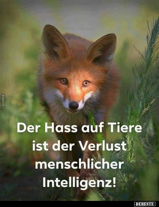 Der Hass auf Tiere ist der Verlust menschlicher.. - Lustige Bilder | DEBESTE.de
