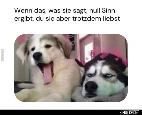 Wenn das, was sie sagt, null Sinn ergibt.. - Lustige Bilder | DEBESTE.de