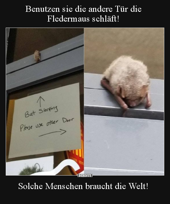 Benutzen sie die andere Tür die Fledermaus schläft!.. - Lustige Bilder | DEBESTE.de