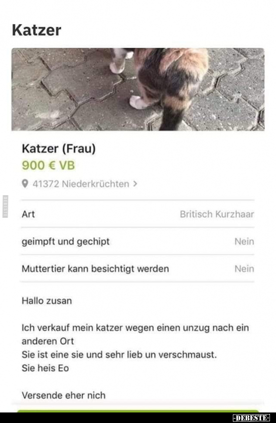 Katzer.. - Lustige Bilder | DEBESTE.de