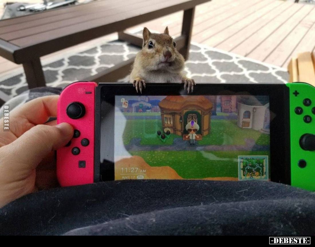  - Lustige Bilder | DEBESTE.de