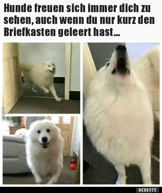 Hunde freuen sich immer dich zu sehen, auch wenn du nur.. - Lustige Bilder | DEBESTE.de