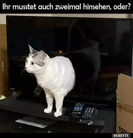 Ihr musstet auch zweimal hinsehen, oder?.. - Lustige Bilder | DEBESTE.de