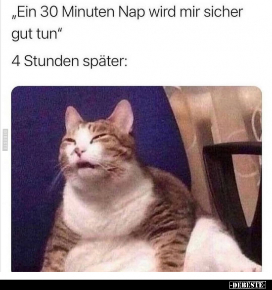 "Ein 30 Minuten Nap wird mir sicher gut tun"..