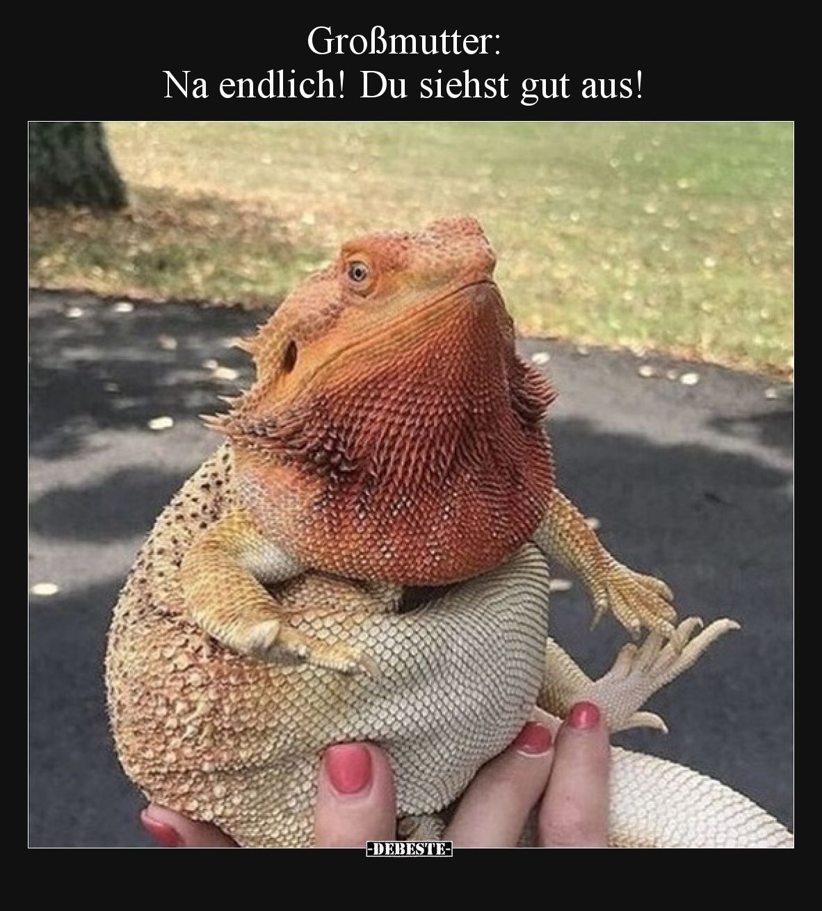 Großmutter: Na endlich! Du siehst gut aus!.. - Lustige Bilder | DEBESTE.de