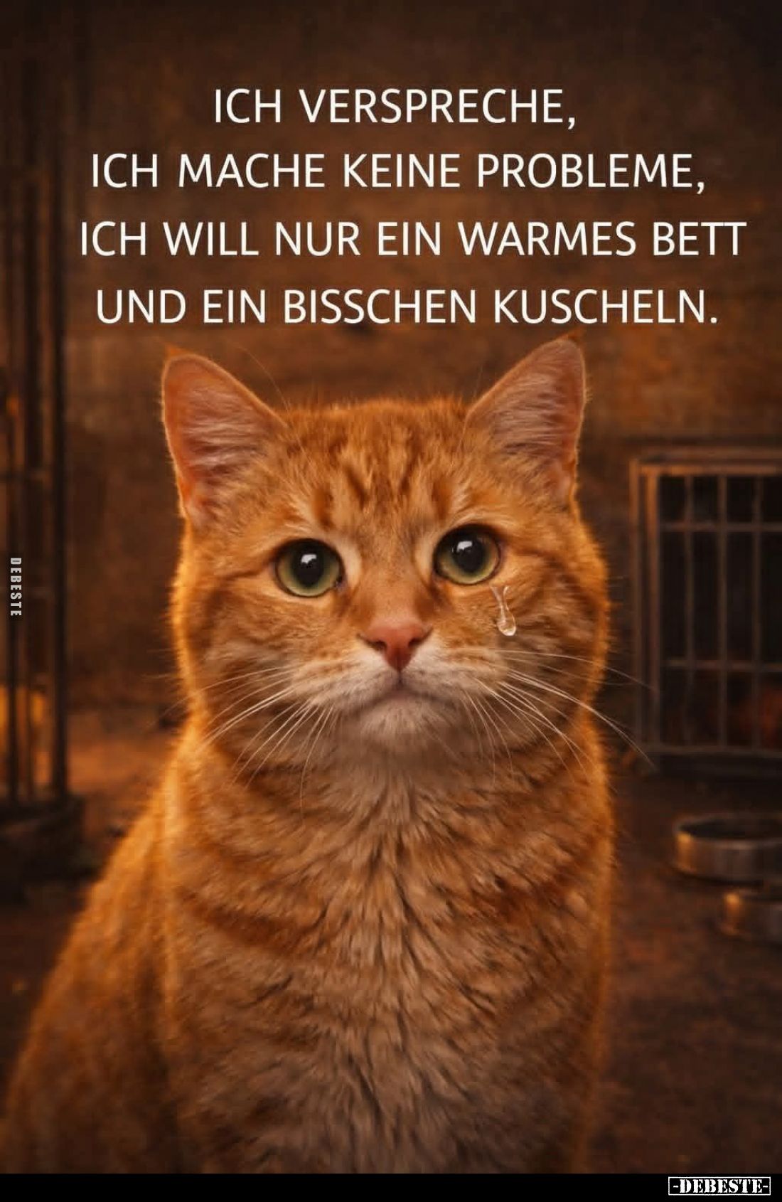 Ich verspreche, ich mache keine Probleme... - Lustige Bilder | DEBESTE.de