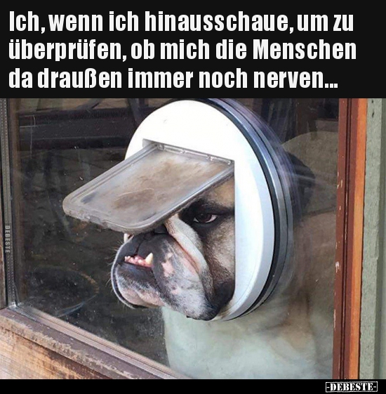 Ich, wenn ich hinausschaue, um zu überprüfen, ob mich die..