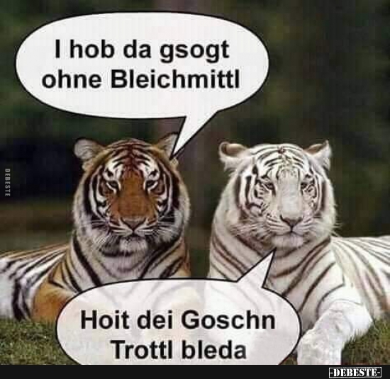 I hob da gsogt ohne Bleichmittl..