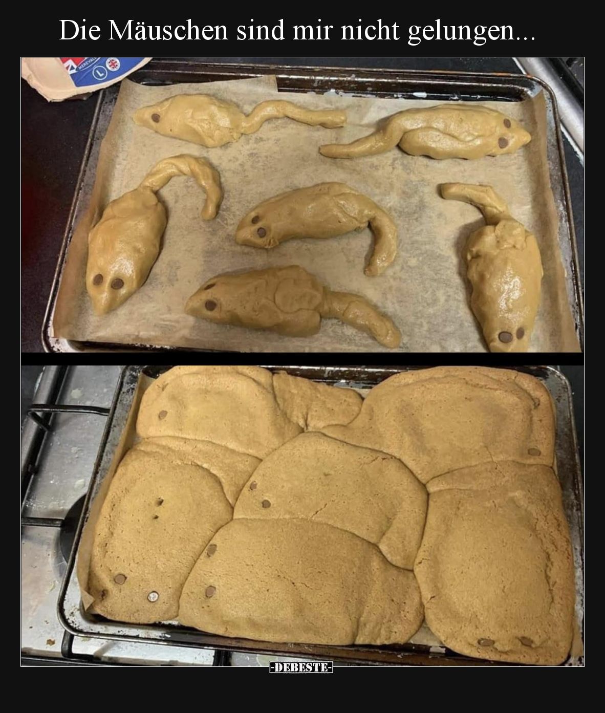 Die Mäuschen sind mir nicht gelungen... - Lustige Bilder | DEBESTE.de
