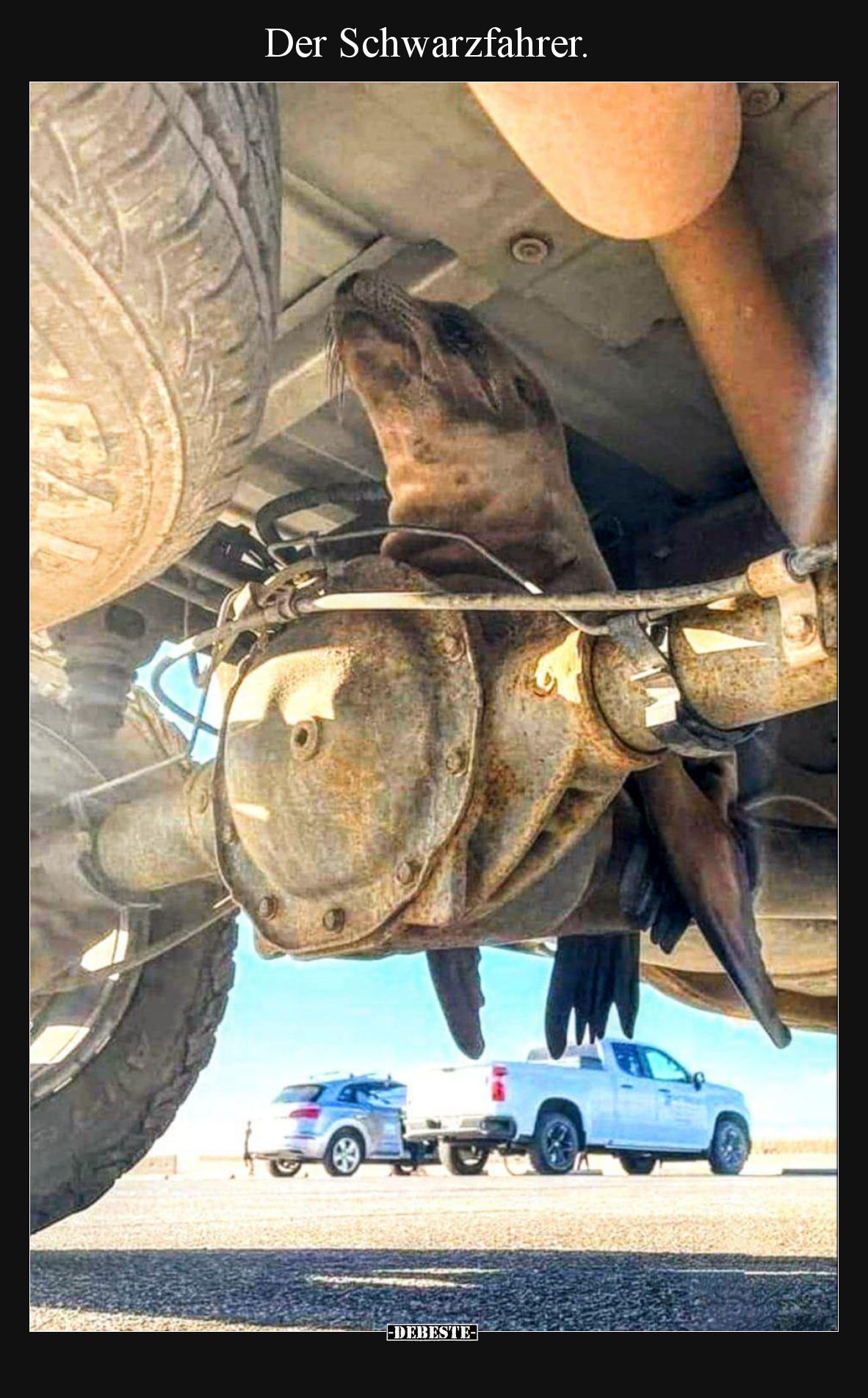Der Schwarzfahrer.