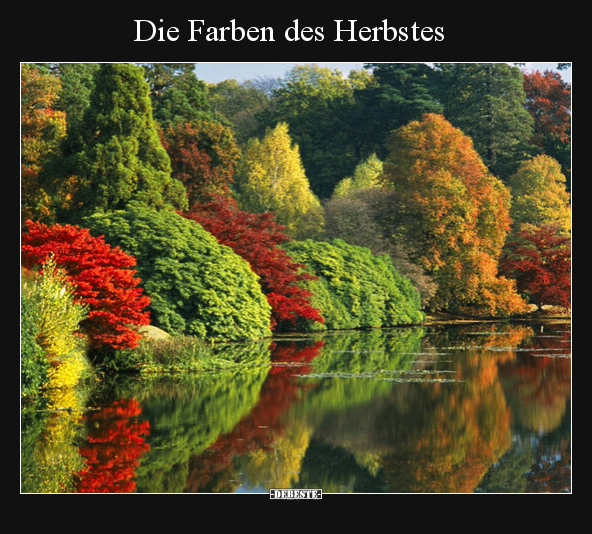 Die Farben des Herbstes - Lustige Bilder | DEBESTE.de
