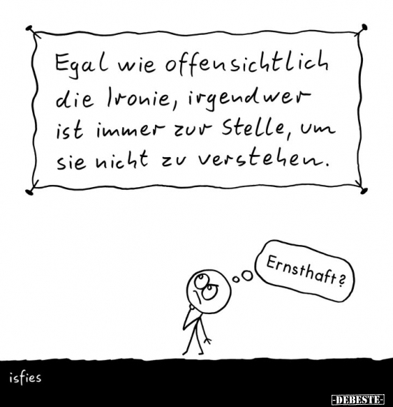 Egal wie offensichtlich die Ironie.. - Lustige Bilder | DEBESTE.de