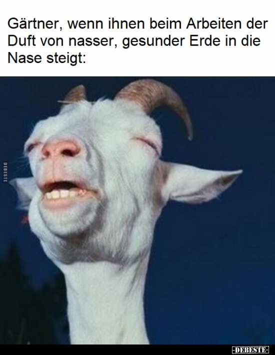 Gärtner, wenn ihnen beim Arbeiten der Duft von nasser..
