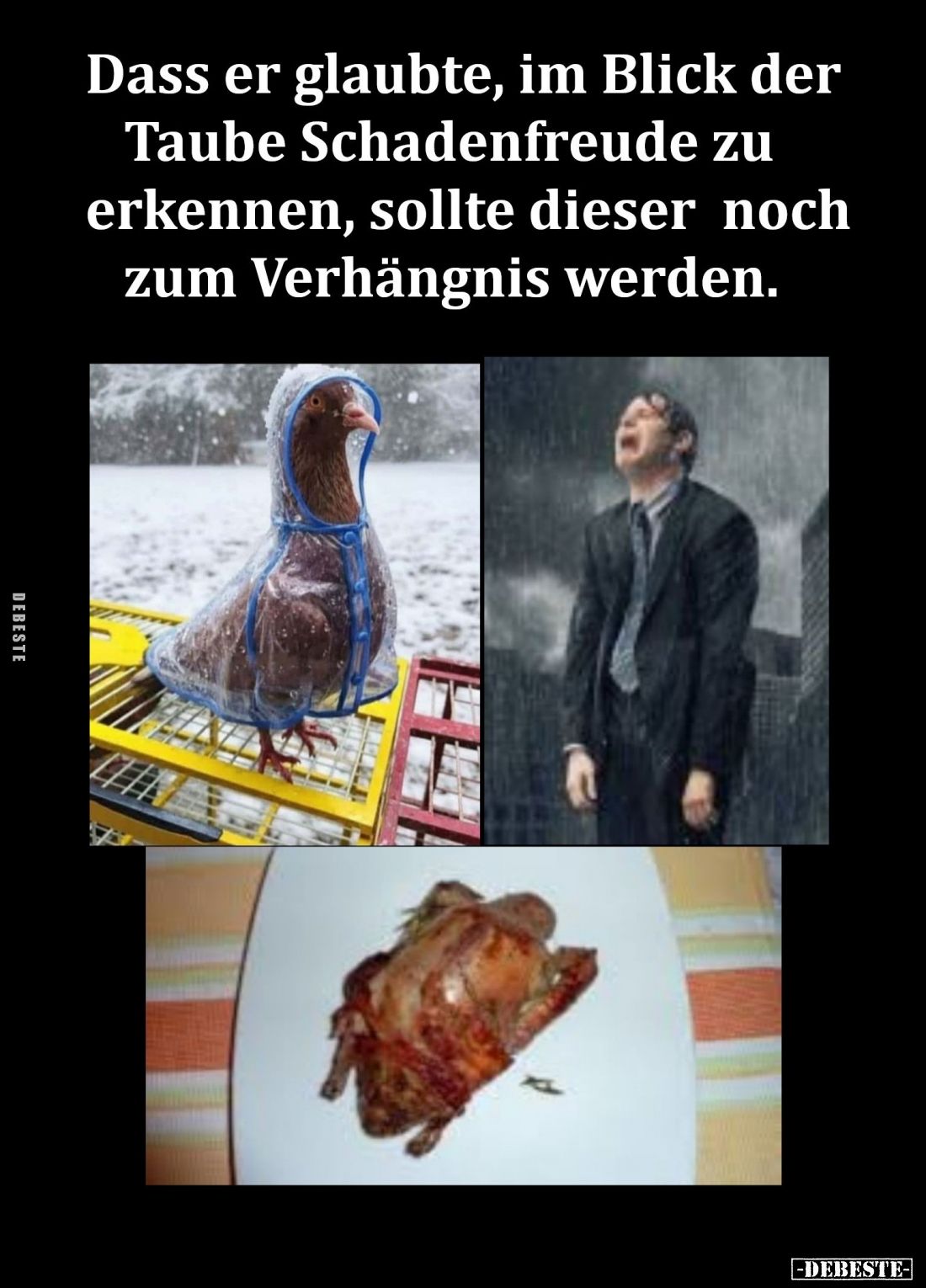 Dass er glaubte, im Blick der Taube Schadenfreude zu erkennen, sollte dieser noch zum Verhängnis werden.