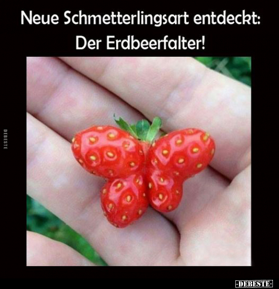 Neue Schmetterlingsart entdeckt: Der Erdbeerfalter! - Lustige Bilder | DEBESTE.de