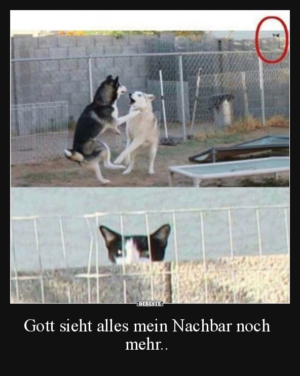Gott sieht alles mein Nachbar noch mehr.. - Lustige Bilder | DEBESTE.de