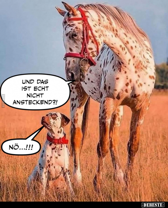 Und das ist echt nicht ansteckend?! -
Nö...!!!