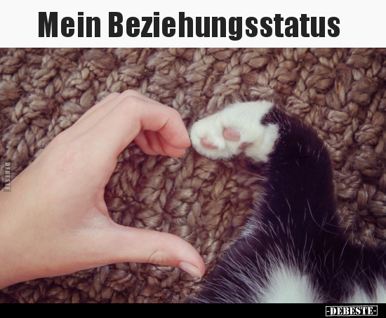 Mein Beziehungsstatus.. - Lustige Bilder | DEBESTE.de