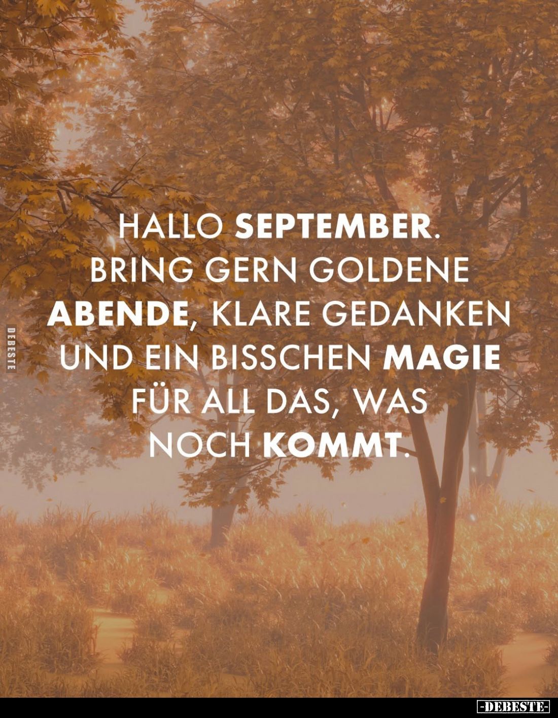 Hallo September.
Bring gern goldene Abende, klare Gedanken und ein bisschen Magie für all das, was noch kommt.