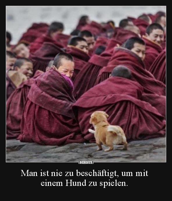 Man ist nie zu beschäftigt, um mit einem Hund zu spielen... - Lustige Bilder | DEBESTE.de