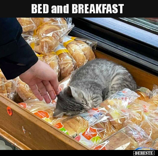 BED and BREAKFAST.. - Lustige Bilder | DEBESTE.de