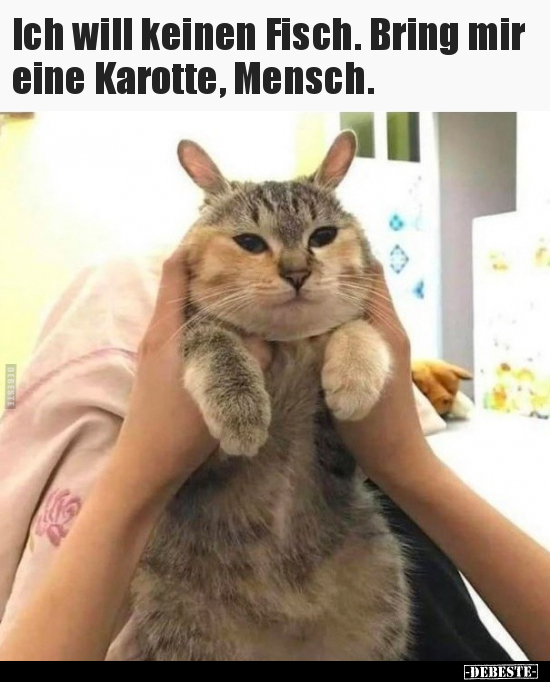 Ich will keinen Fisch. Bring mir eine Karotte, Mensch... - Lustige Bilder | DEBESTE.de