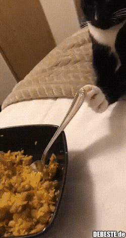 Mit einer Kralle am Löffel..