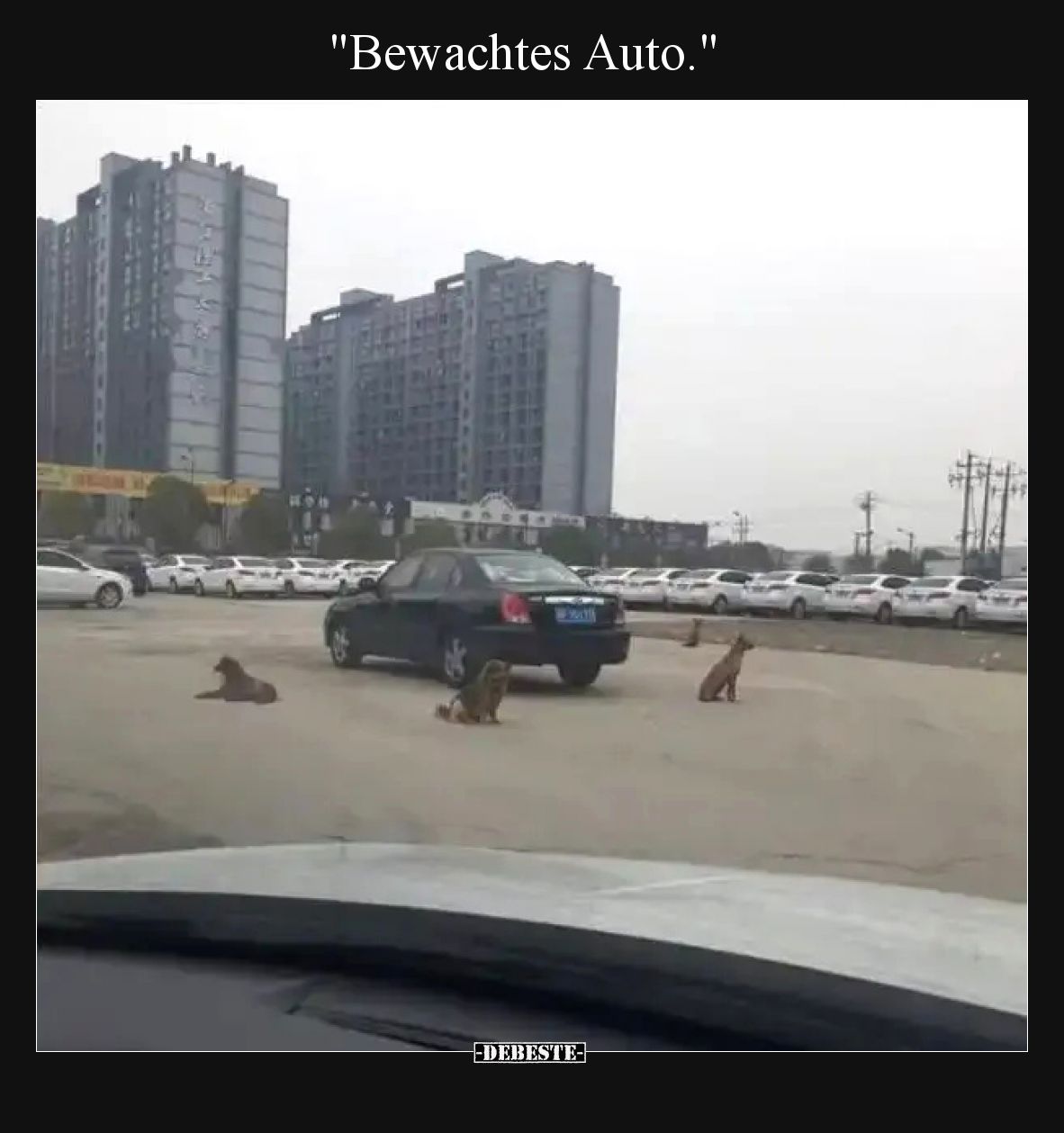 "Bewachtes Auto.".. - Lustige Bilder | DEBESTE.de