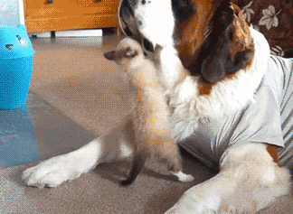 Ich will jetzt nicht spielen.. - Lustige Bilder | DEBESTE.de