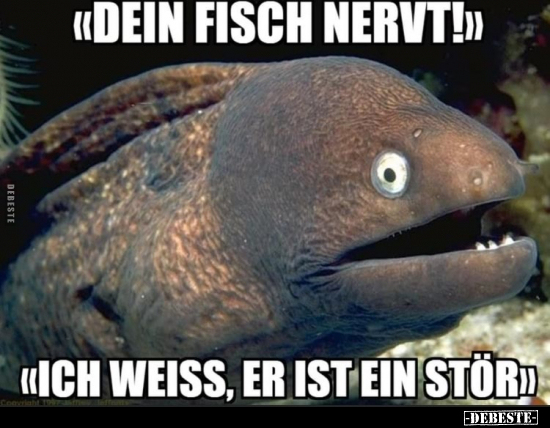« Dein Fisch nervt! » « Ich weiss, er ist ein Stör » - Lustige Bilder | DEBESTE.de