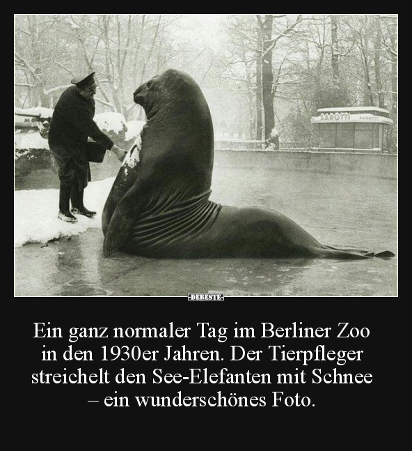 Ein ganz normaler Tag im Berliner Zoo in den 1930er.. - Lustige Bilder | DEBESTE.de