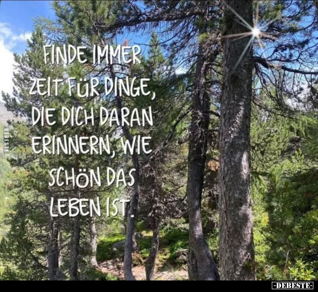 Finde immer Zeit für Dinge, die dich daran erinnern, wie schön das Leben ist.
