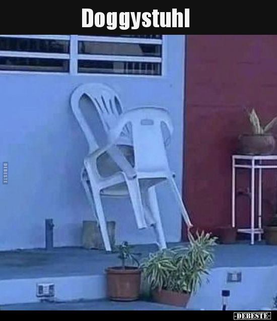 Doggystuhl..