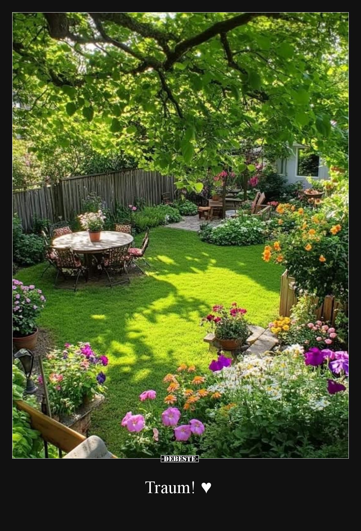 Traum! ♥