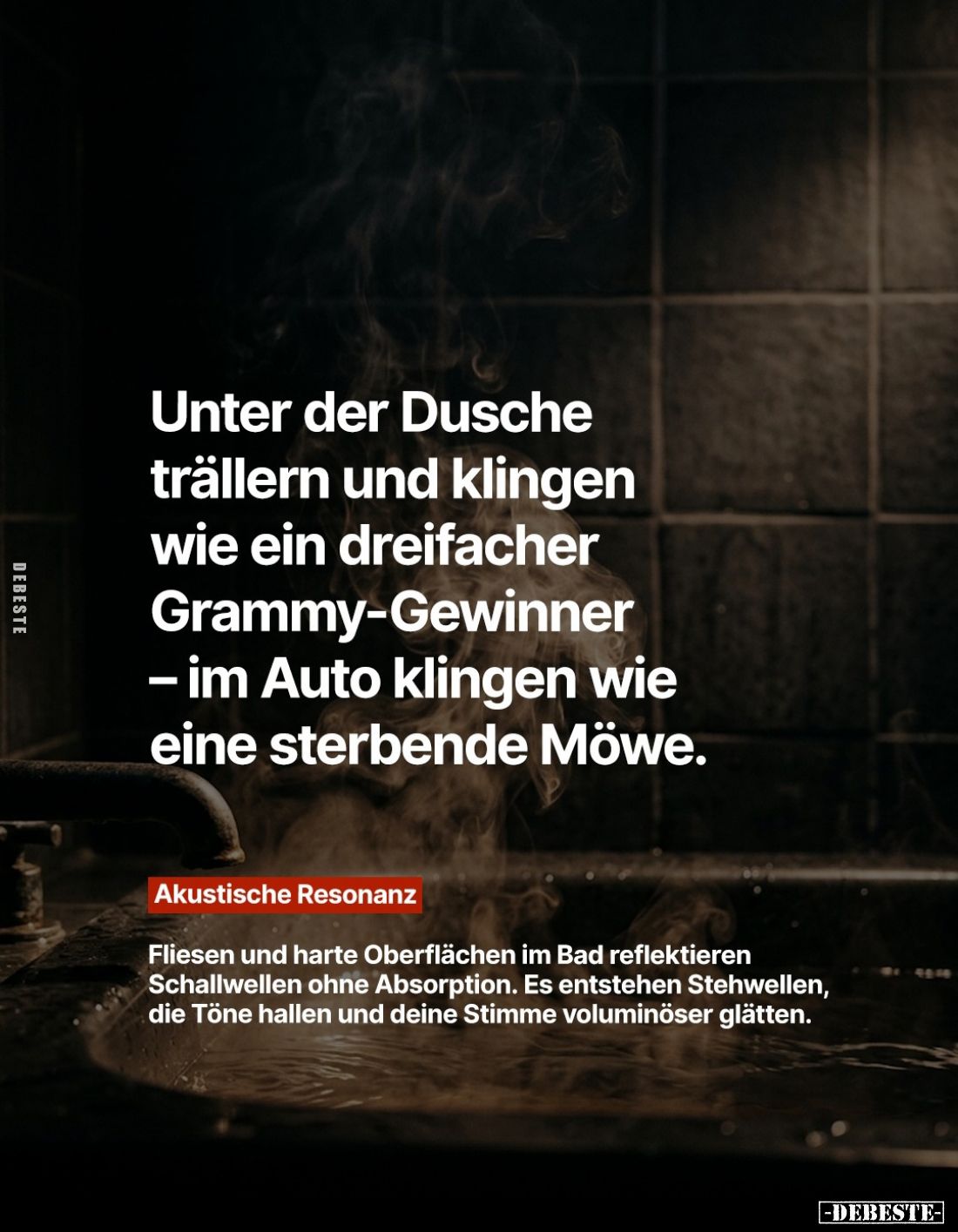 Unter der Dusche trällern und klingen wie ein dreifacher Grammy-Gewinner - im Auto klingen wie eine sterbende Möwe.
-
Akust...