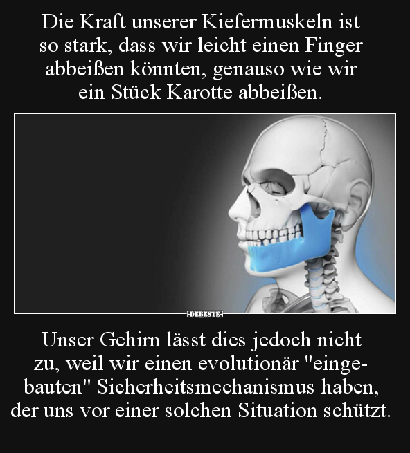 Die Kraft unserer Kiefermuskeln ist so stark, dass wir.. - Lustige Bilder | DEBESTE.de